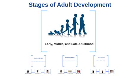 Stages Of Adult Development Anna Tidemann By Anna Tidemann On Prezi