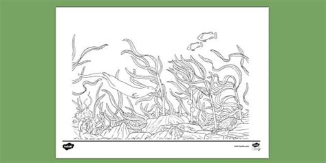 Kelp Coloring Pages