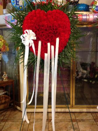 We did not find results for: Bleeding heart Sympathy flowers in Forest Hills, NY ...