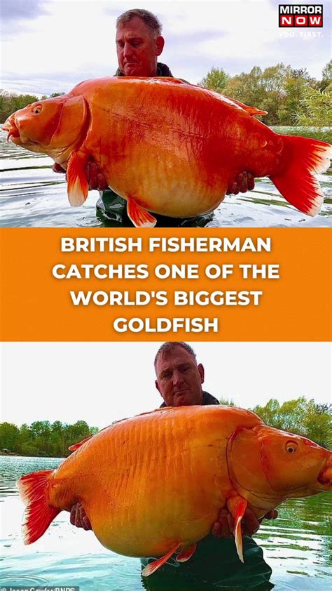 Mirror Now On Twitter A Britishfisherman Has Caught One Of The World