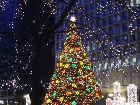 Chicago: Daley Plaza Christmas Tree (2006) | The Christmas ...