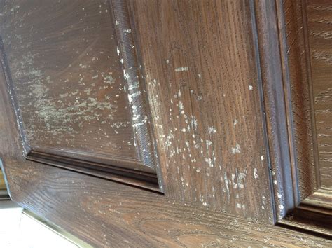 We have four beautiful exterior frame colors available. What's wrong with my fiberglass door? (paint, stain ...