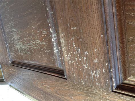 Before you start painting, place a tarp or newspapers on the floor. What's wrong with my fiberglass door? (paint, stain ...