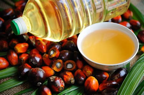 Palm oil is a common cooking ingredient in the tropical belt of africa, southeast asia and parts of brazil. Albertsons Companies Builds on Commitment to Source...