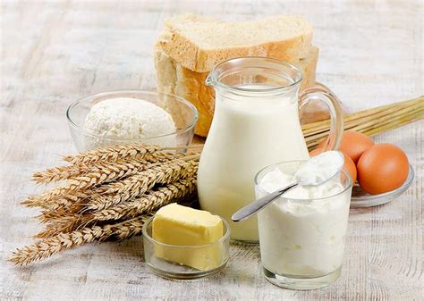 Russia is a paradise for all dairy food fans. 5 Basic Food Groups You Must Know For Healthy Life