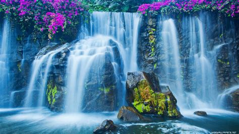 Tropical Waterfall Desktop Wallpapers Top Free Tropical Waterfall