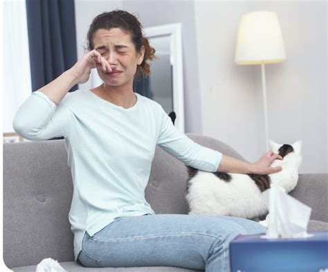 Alergia A Los Gatos S Ntomas