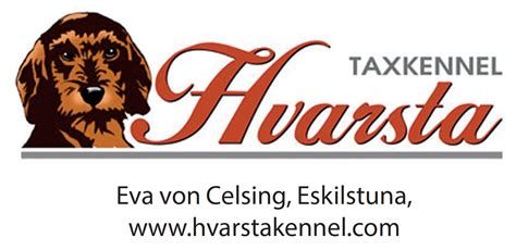 Veteran european stars sometimes find it difficult transitioning to north america. Kennelsponsorer Drev SM | Övre Norrlands Taxklubb