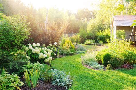 Some Ways You Can Make Your Garden Feel More Private Alovegarden