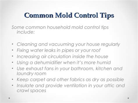 How To Tell If You Have A Mold Problem