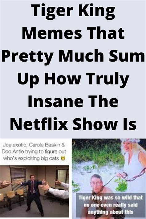 Tiger King Memes That Pretty Much Sum Up How Truly Insane The Netflix