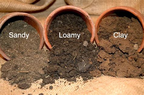Learn About Soil Types Nesdis