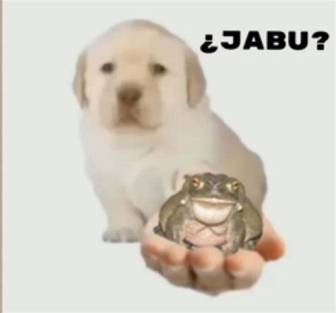 Create Comics Meme Dog Labrador Puppy On White Background Quieres