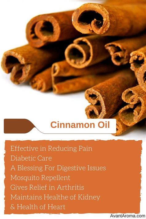 Once combined add in the olive oil until your mask is thin enough to apply onto your hair smoothly. Cinnamon Oil: All You Wanted To Know | Cinnamon health ...