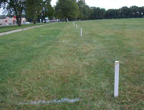 Metal detectors work great for finding metal pegs. Rensselaer Adventures: Trees come and go--Updated