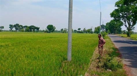 Pengertian dari grounding listrik adalah suatu sistem instalasi listrik yang bisa meniadakan beda potensial sebagai pelepasan muatan listrik berlebih pada umumnya pada instalasi listrik rumah grounding akan dipasang pada kwh meter oleh petugas pln hingga penanaman pipa tembaga yang. Teknisi Listrik Pln Bojonegoro : Teknisi PLN Tersengat Listrik saat Perbaiki Menara Sutet ...