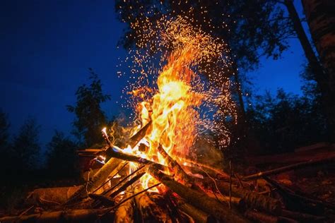 Premium Photo Bright Fire On A Dark Night In A Forest Glade