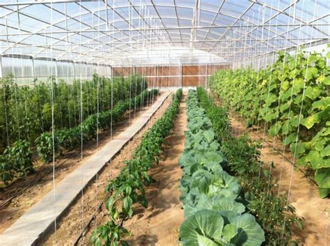 وتعتبر جمعية قرى الأطفال بقمرت المعروفة في تونس بـ آس أو آس قمرت، من أقدم الجمعيات التي ترعى الأطفال المهددين وفاقدي السند ويرى المهتمون بشؤون الأسرة ورعاية الأطفال فاقدي السند في تونس أن منظومات الرعاية التونسية تركز اهتمامها على الطفل خارج إطار. #محميات_زراعية hashtag on Twitter