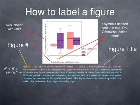 Ppt How To Label A Figure Powerpoint Presentation Free Download Id