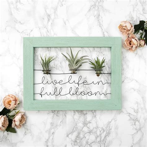 Live Life In Full Bloom Sign Wall Mount Air Plant Holder Etsy Wall