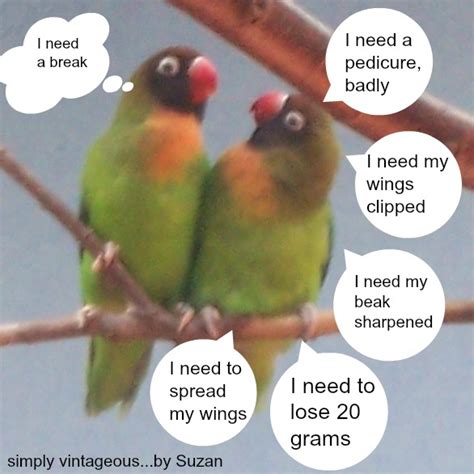 Simply Vintageousby Suzan If John And I Were Lovebirds