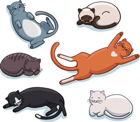 Lazy Cat Illustrations Royalty Free Vector Graphics And Clip Art Istock