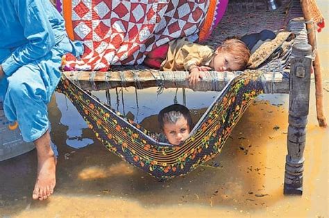 پاکستان میں 64 لاکھ سیلاب متاثرین کو انسانی امداد کی اشد ضرورت ہے، عالمی ادارہ صحت Pakistan