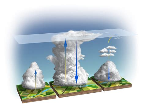 Life Cycle Of A Thunderstorm Cell Bild Kaufen 13495690 Science