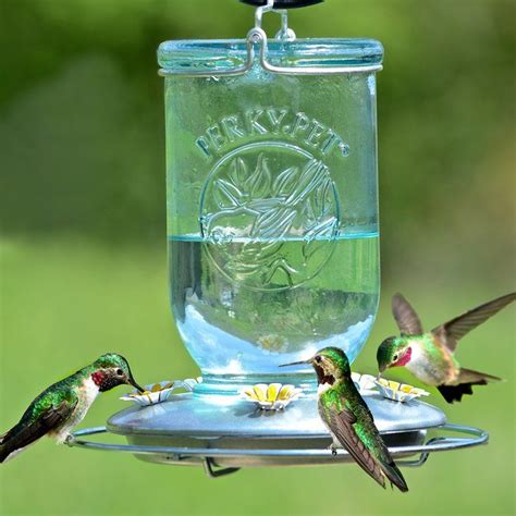 Diy hummingbird feeder option 1: Mason Hummingbird Feeder | Glass hummingbird feeders, Humming bird feeders, Mason jar diy