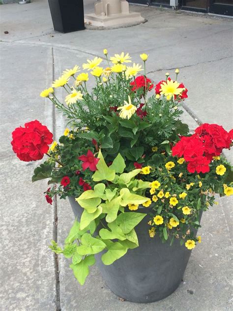We did not find results for: Full Sun | Flower pots outdoor, Container herb garden ...