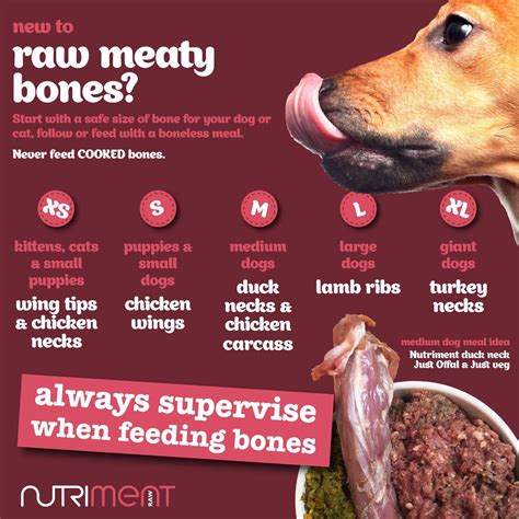 Raw Bones For Your Dog Read More Here Nutriment