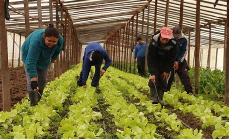 “las Cooperativas Agropecuarias Tienen Un Rol Clave Y Esencial En La