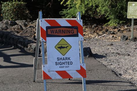 Department Of Land And Natural Resources 032123 Shark Warning
