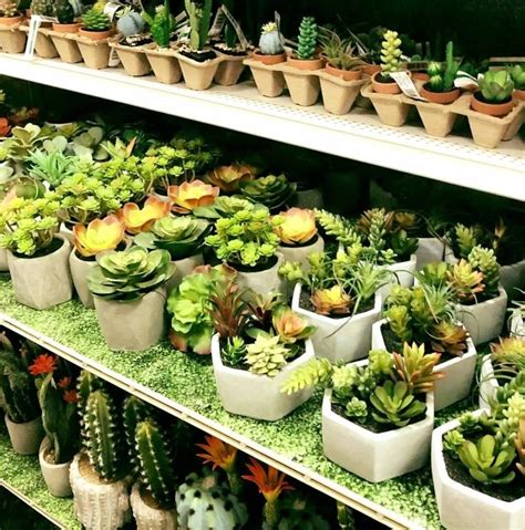 I'm regularly asked by friends and readers where my realistic looking faux flowers or plants are from. Succulents from Michaels | Faux succulents, Succulents, Plants