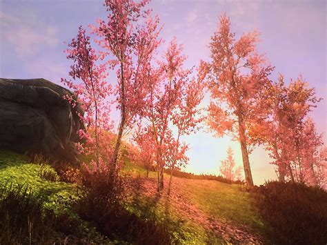 Another Cherry Blossom Mod Pic Skyrim