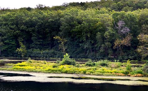 There are 9 total cottages, rent one or all 9. Arcadia Valley's Lake Killarney - Cape Girardeau History ...