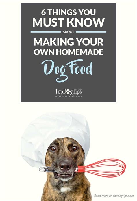 6 Must Know Tips For Making Your Own Homemade Dog Food
