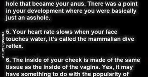 Conversation Starter Facts You May Not Have Known About The Human Body Album On Imgur