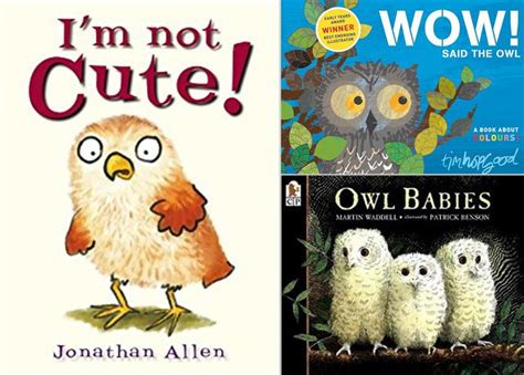 Storytime Owls Adventures Of A Bookworm