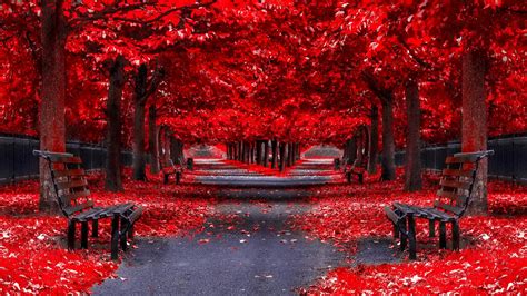 Red Scenery Wallpapers Wallpaper Cave