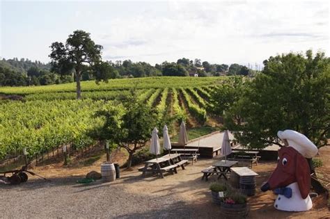 Wine Road Five Must Try Shenandoah Valley Wineries Shenandoah Valley