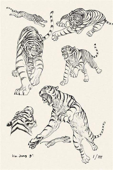 Tigers Study By Kim Jung Gi Tiger Illustration Tiger