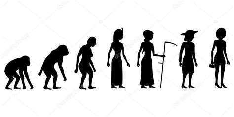 Female Evolution Vector Illustration Premium Vector In Adobe