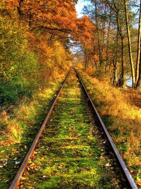 Pin By Zyhdeer On Track Train Tracks Scenic Railroads Scenery