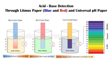 The mixture is absorbed onto a filter paper to turn it into an absorbent litmus paper. How to use litmus paper to test acid and base- Simple ...