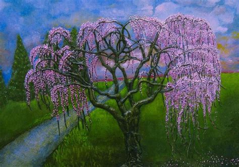 Acrylic Cherry Tree Painting Japanese Cherry Blossom Tree Painting At