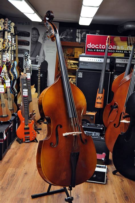 Double Basses Bass Electric Bass Luthier Online Shop Doctorbass