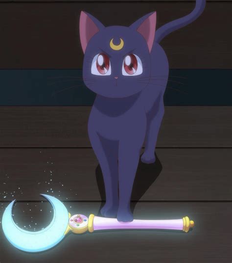Luna Sailor Moon Guide Manga Insider