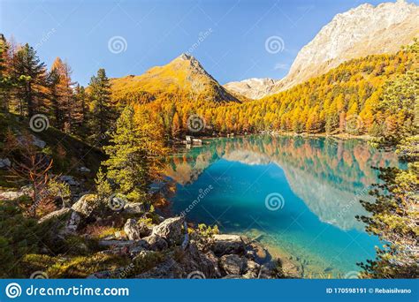 Saoseo Lake Poschiavo Switzerland Stock Image Image Of Reflection