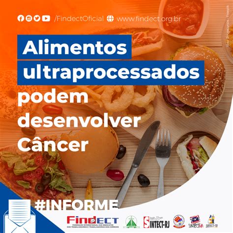 Alimentos ultraprocessados podem desenvolver câncer FINDECT